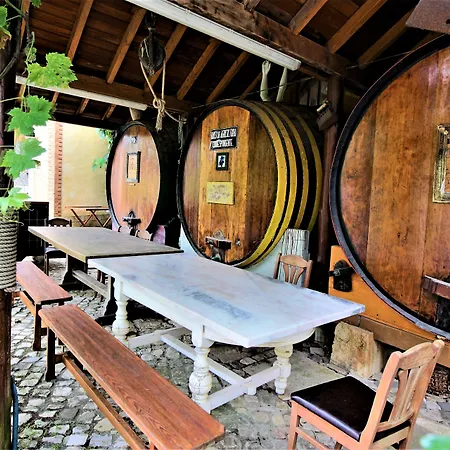 Ana Margarida By Nature Semesterbostad Ericeira