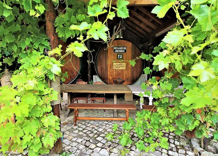 Ana Margarida By Nature 度假居 埃里塞拉